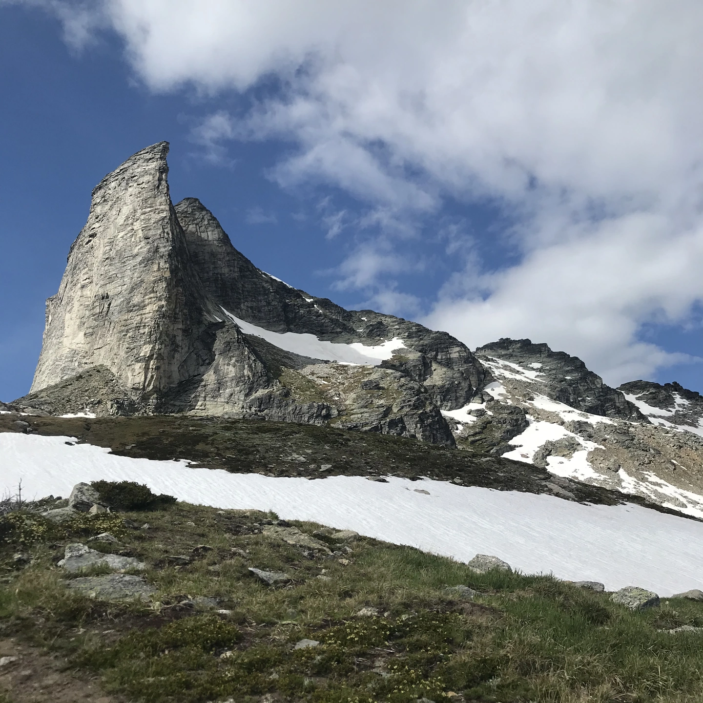 Forest service road and mountain setting near Little Camp Slocan